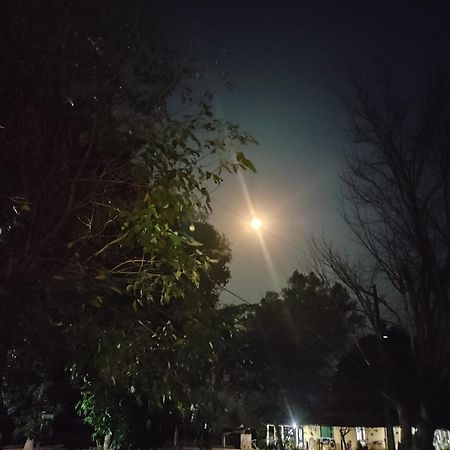 Pousada O Canto Da Seriema Nobres Esterno foto